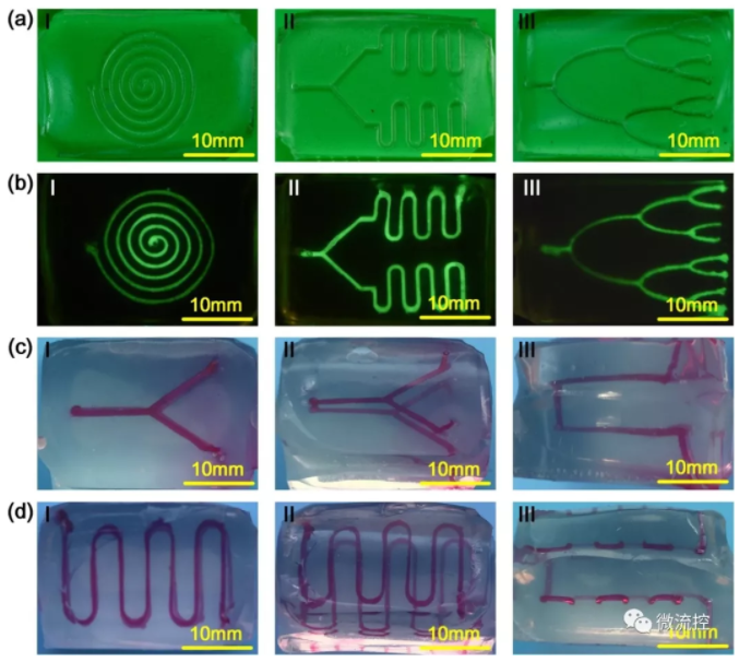 带有复杂内部流道的水凝胶芯片