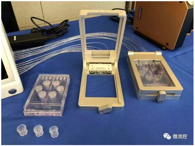 组织器官芯片系统