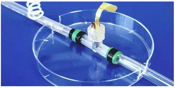 图片来源：英国剑桥大学官网