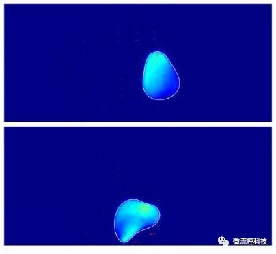 各种亲疏水和浸润性现象