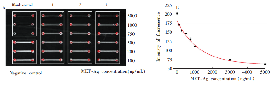 图5(A)芯片对冰毒标准品的梯度检测荧光图;(B)对应图(A)的“冰毒标准品浓度-灰度值冶曲线