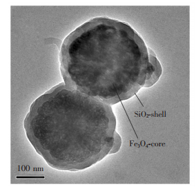 磁珠透射电镜图