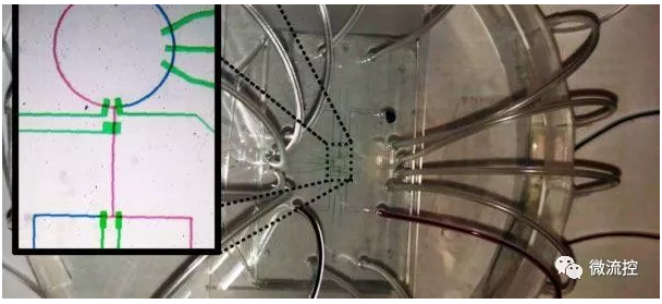 微流体生物芯片可处理微量的流体，经常与传感器和智慧控制演算法等“连网”元素结合，以提高性能和可靠性，但也因此遭受安全威胁（来源：NYU)