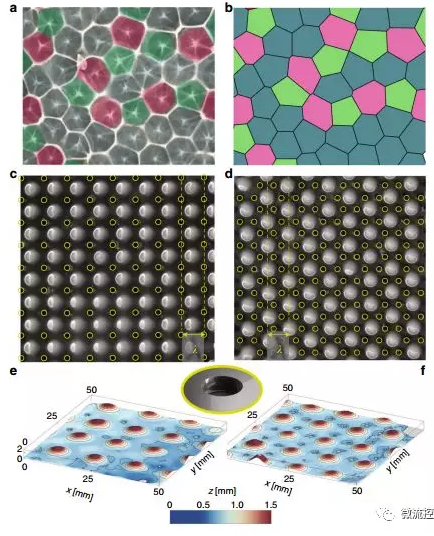 控制液滴，这些液滴在重力和表面张力等竞争影响下形成