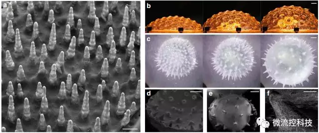 重量负荷或热容量的物理阈值