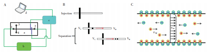图1微芯片电泳检测原理。(A)微芯片电泳系统框图,a-微芯片,b-分离高压,c-信号发生与采集?？?d-信号后处理?？?(B)传统微芯片电泳进样与分离示意图;(C)电渗流及电泳引起的离子运动示意图,veo-电渗流引起的运动,vep-电泳引起的运动