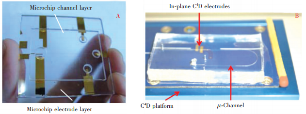 图2两种典型的电泳微芯片结构:(A)一体式结构实例[17];(B)外部电极式结构实例[18]