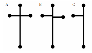 图63种不同的微芯片通道结构:(A)十字交叉结构;(B)Double-T交叉结构;(C)T型结构