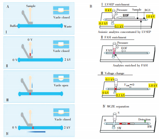 图7两种预浓缩方法。(A)采用气动阀结构[63]和(B)采用LVSEP及FASI对样品进行浓