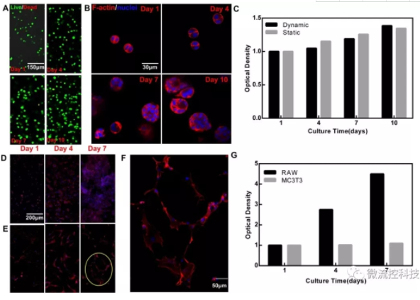 图4.?？榛酒南赴嘌? width=