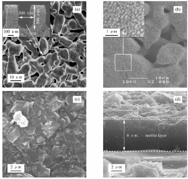 图2不锈钢微通道内表面、引入晶种以及沸石生长成膜的电镜照片