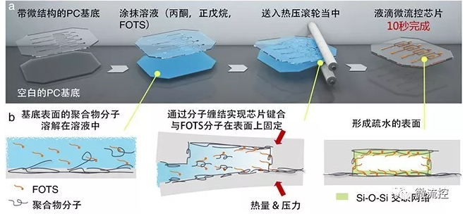 图1 一步法工作流程图及其分子机理