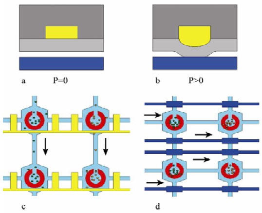 图 3 微阀的结构图和工作原理图 