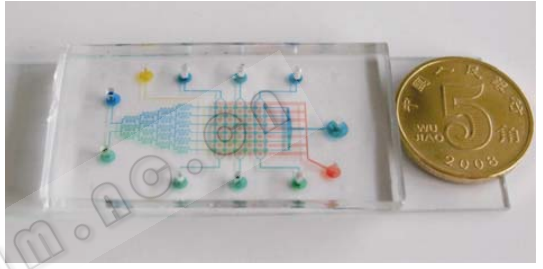 图 4 微流控细胞阵列芯片的实物图 