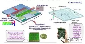 微流控芯片工作原理（图片来源：Duke University）
