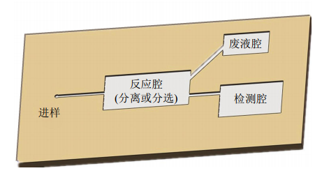 图1微流控芯片结构示意图