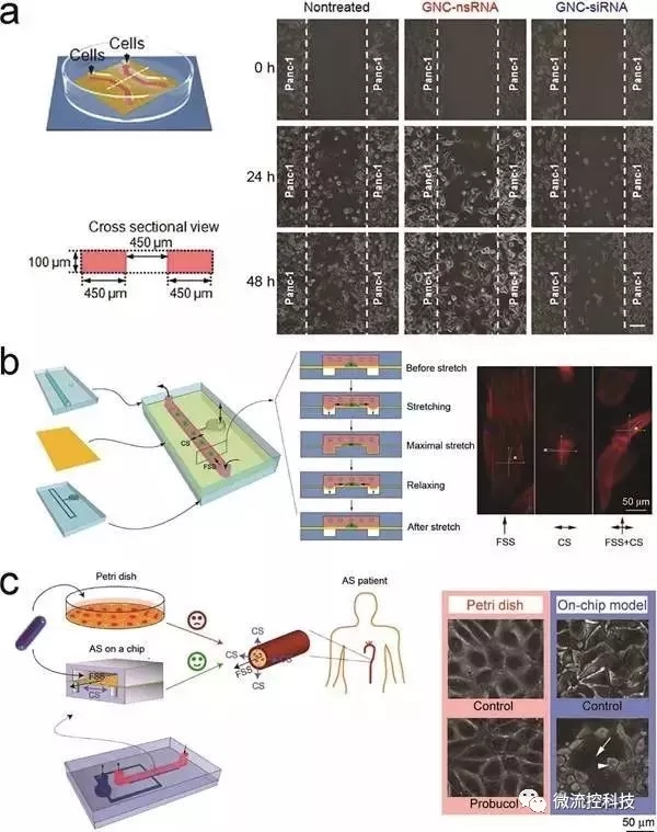 图8.基于微流控芯片的药物筛选