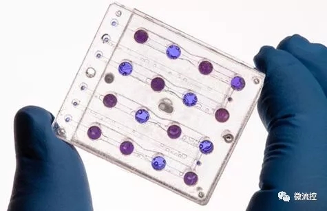 小卫星“BioSentinel”携带微流控进入深太空，开展空间辐射研究