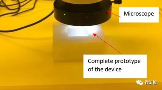 组装后的微流控芯片的PDMS顶层和底层