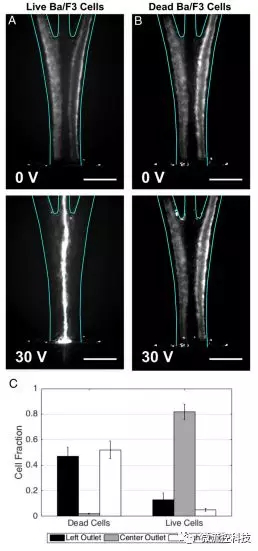 MIT 结构化多材料纤维微流控装置