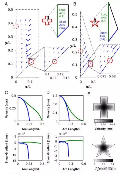 内部形状和排列