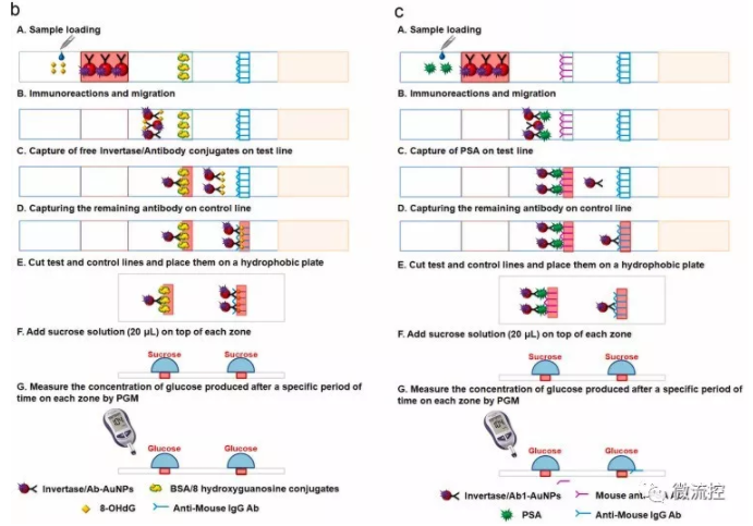 “微流控+智能手机血糖仪” 打造非血糖分子检测平台，量化评估DNA过氧化损伤