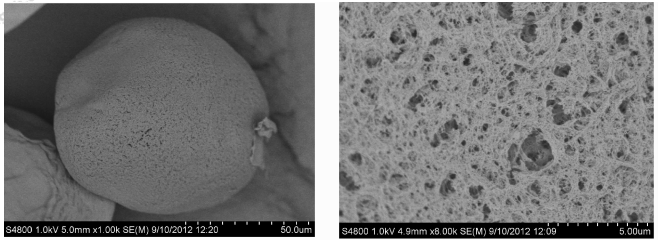 2%纤维素制备微球的电镜分析照片