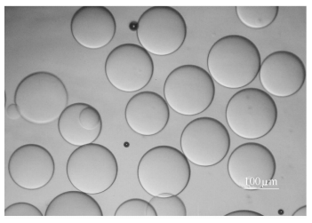 纤维素微液滴的显微镜照片