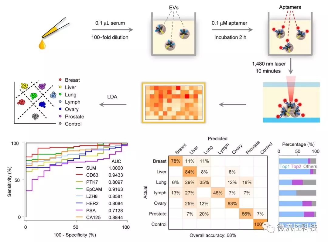 图：基于肿瘤细胞外囊泡膜蛋白检测的肿瘤液体活检