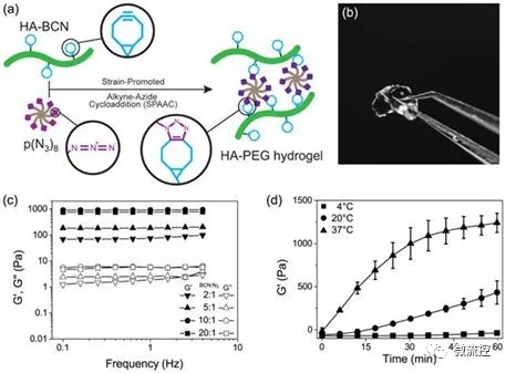 图片来自Biofabrication, doi:10.1088/1758-5090/aaf657