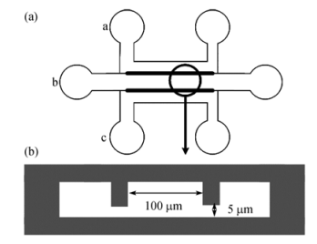 图1芯片的结构示意图
