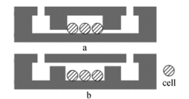 图3两种芯片结构示意图