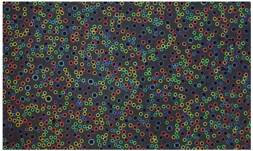 结构颜色来自清澈的水滴。凝聚在透明塑料片上的微米级水滴根据其尺寸反射不同的亮色。图片来源：宾夕法尼亚州扎尔扎尔实验室