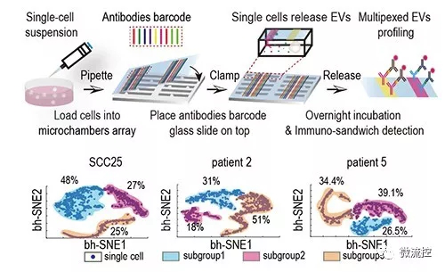微流控芯片帮助实现单细胞外囊泡多指标检测