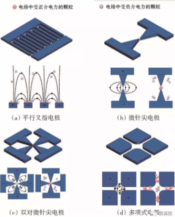 图5 不同电极结构产生的非均匀电场中受正介电力和负介电力的粒子捕获示意