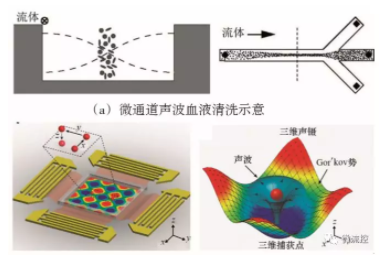 图7 基于声波技术的微流控芯片上的细胞操控