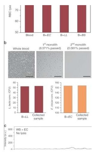 使用微流控整体装置从血液中分离完整细菌