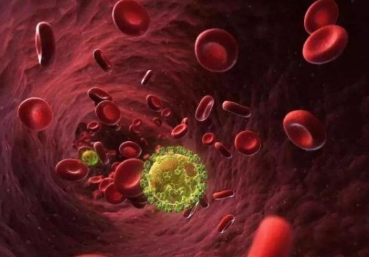 使用微流控整体装置从血液中分离完整细菌