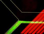 微流控光学检测技术