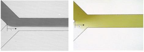 DI水和水基铁磁流体（左）没有磁铁和（右）磁铁之间的扩散