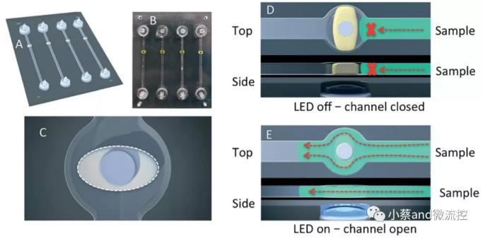 图1.&nbsp;LED灯控制下光敏水凝胶阀的开启和闭合