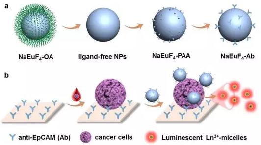 不用抓:镧系发光纳米探针 不用抓:镧系发光纳米探针