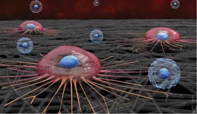 抓得着:碳纳米管芯片 抓得着:碳纳米管芯片