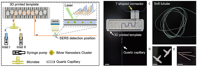 基于软管微流控的动态流体SERS平台用于无标记细胞检测