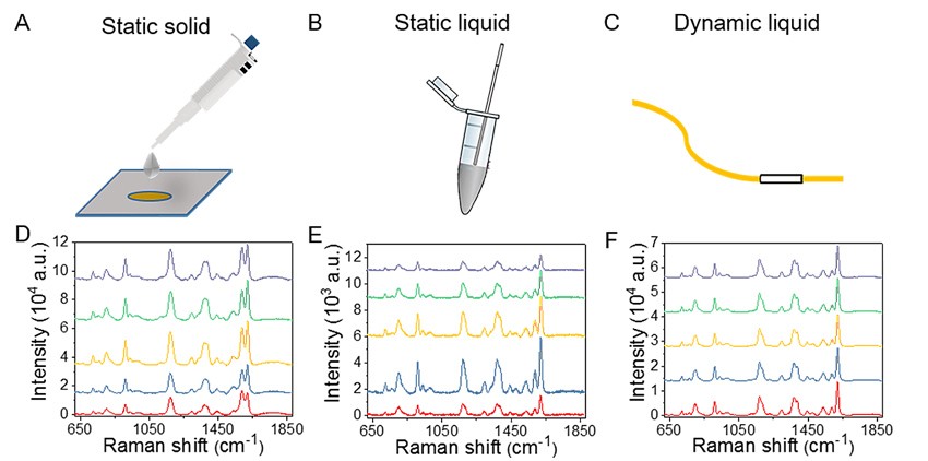 基于软管微流控的动态流体SERS平台用于无标记细胞检测