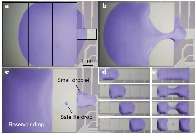 图三：液滴在MEMS芯片的液流通道中产生、移动和融合