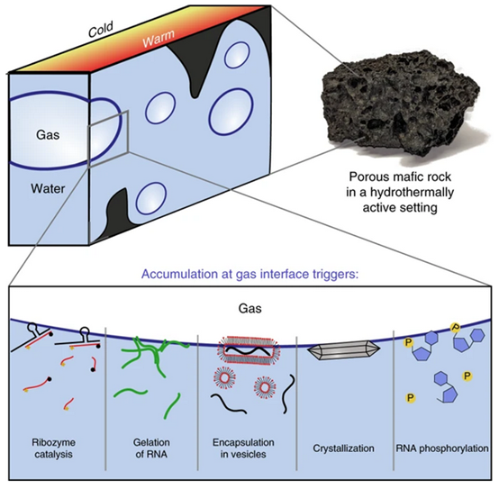 研究人员利用3D打印构建了模拟火山岩的微流控器件，用于观察重要的生命分子在液-气界面的动力学行为
