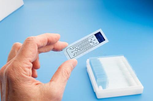 微流控“软骨”芯片用于关节炎研究