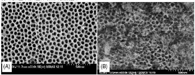 图2. 阳极氧化微反应器的表面形态：（A）未水热处理，（B）水热处理后