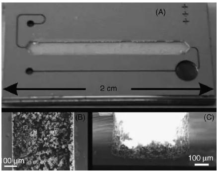 图5. 在火焰喷雾沉积催化剂后用微反应器的样品架的照片